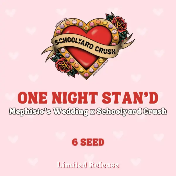 One Night Stan'd Cannabis Seeds by Mephisto Genetics