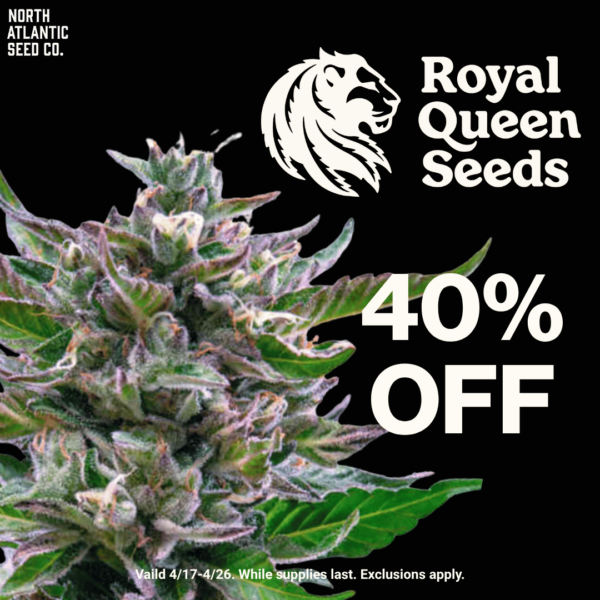 Royal Queen Seeds