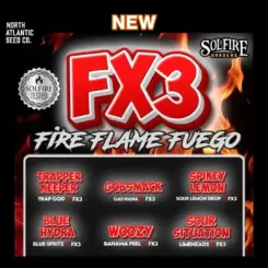 Solfire Gardens FX3 Drop