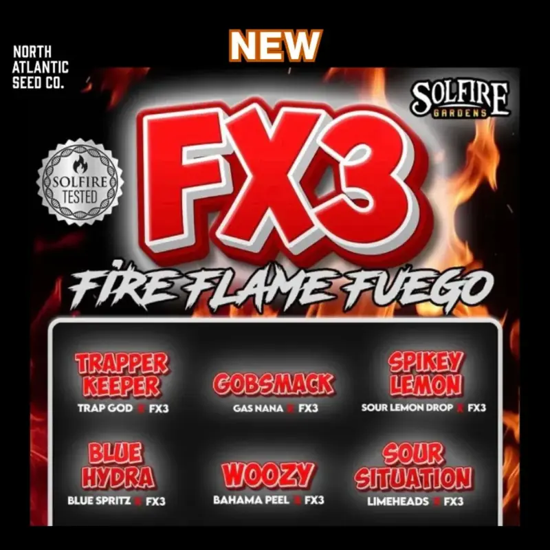 Solfire Gardens FX3 Fire Flame Fuego Line