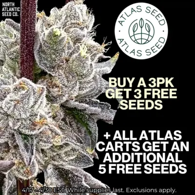 Atlas Seed