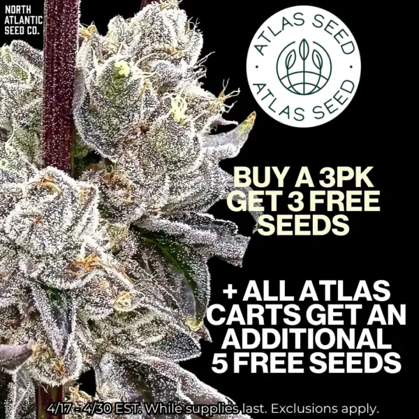 Atlas Seed