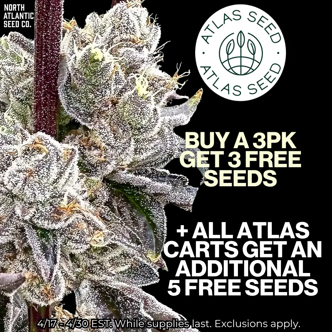 Atlas Seed