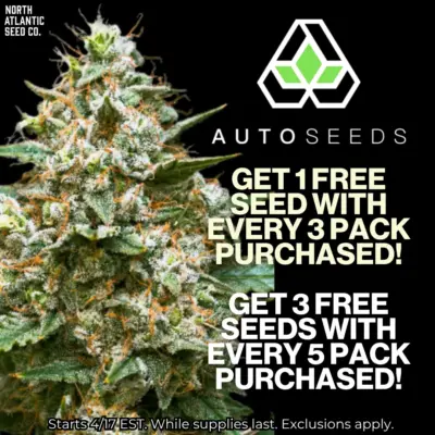 Auto Seeds