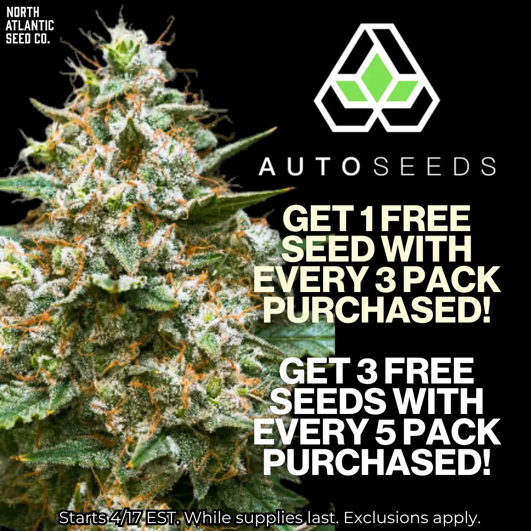 Auto Seeds