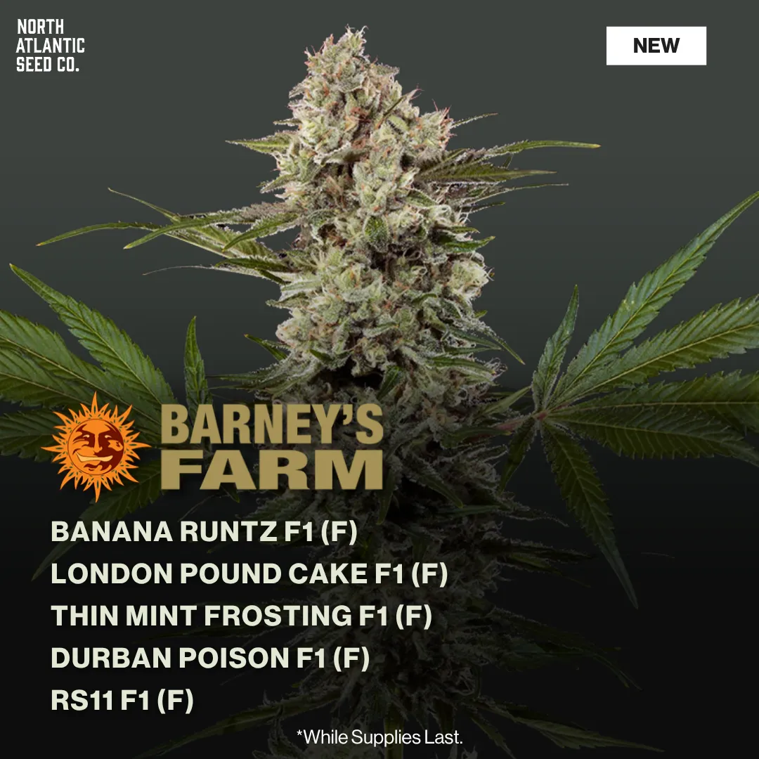 Barney's Farm April 2026 Drop