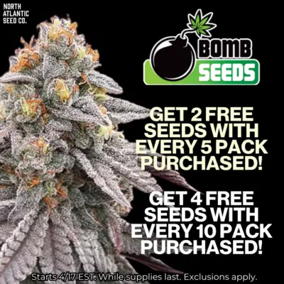 Bomb Seeds