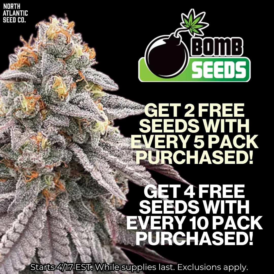 Bomb Seeds