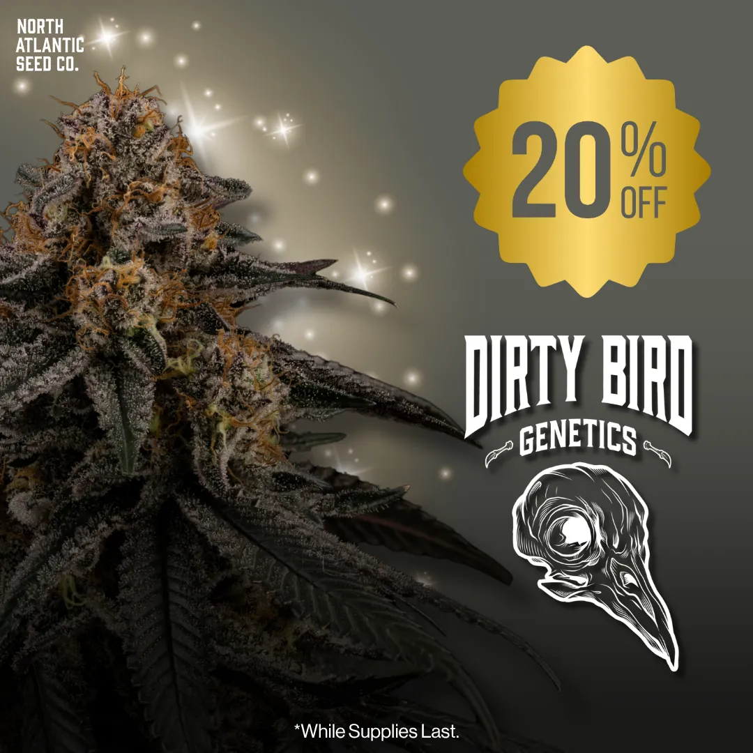 Dirty Bird Genetics