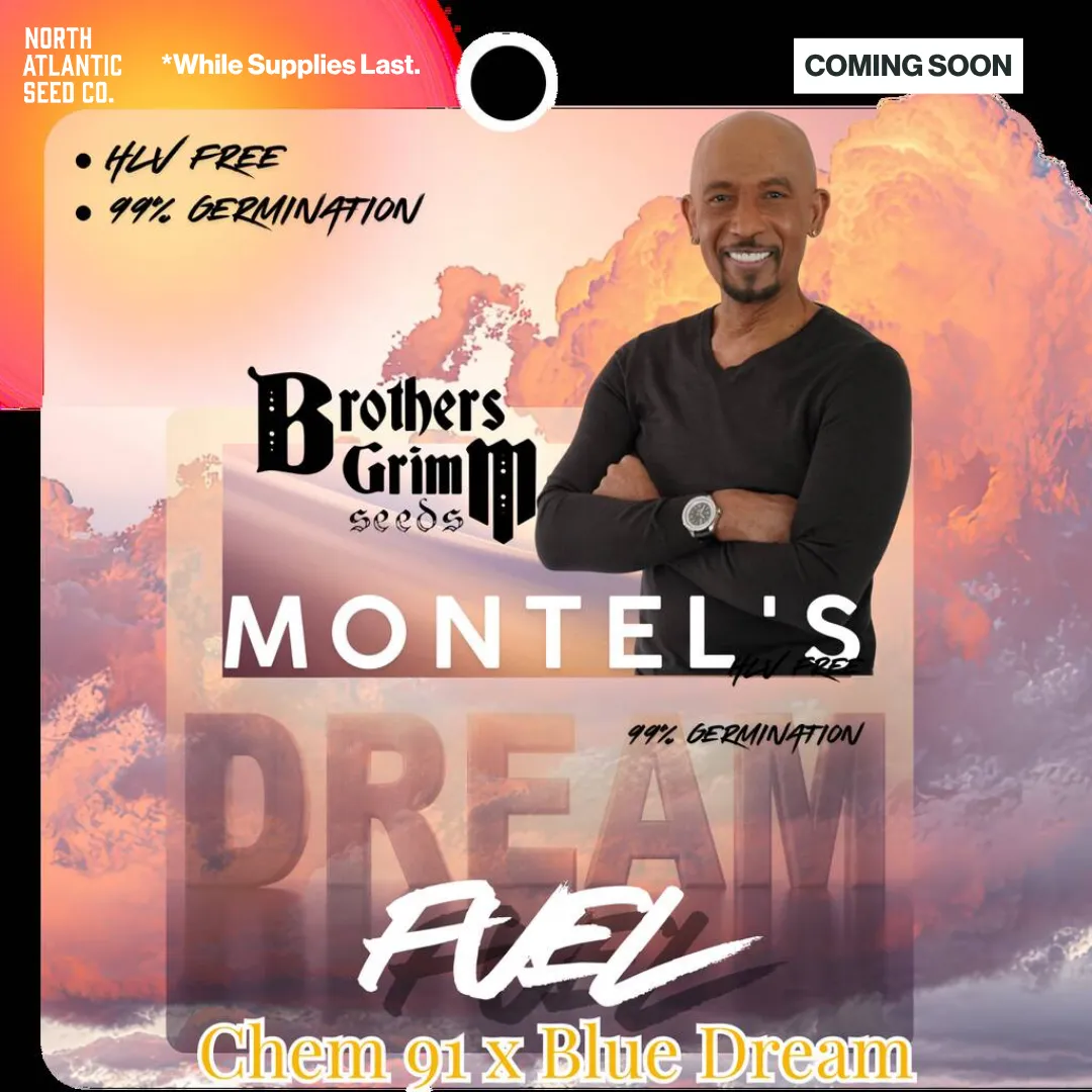 Montel Collab