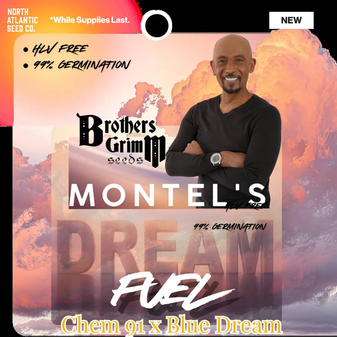 Montel Collab