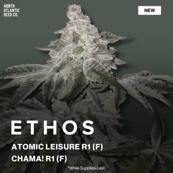 Ethos Genetics 4/13 2026 Drop