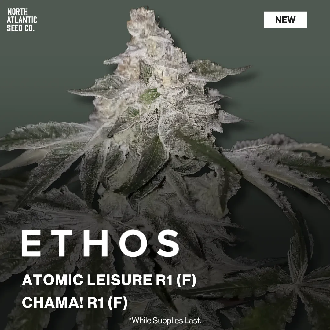 Ethos Genetics 4/13 2026 Drop