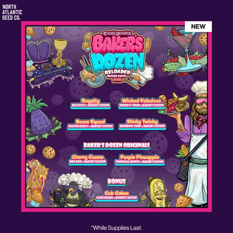 Exotic Genetix Baker's Dozen Reloaded: Second Batch