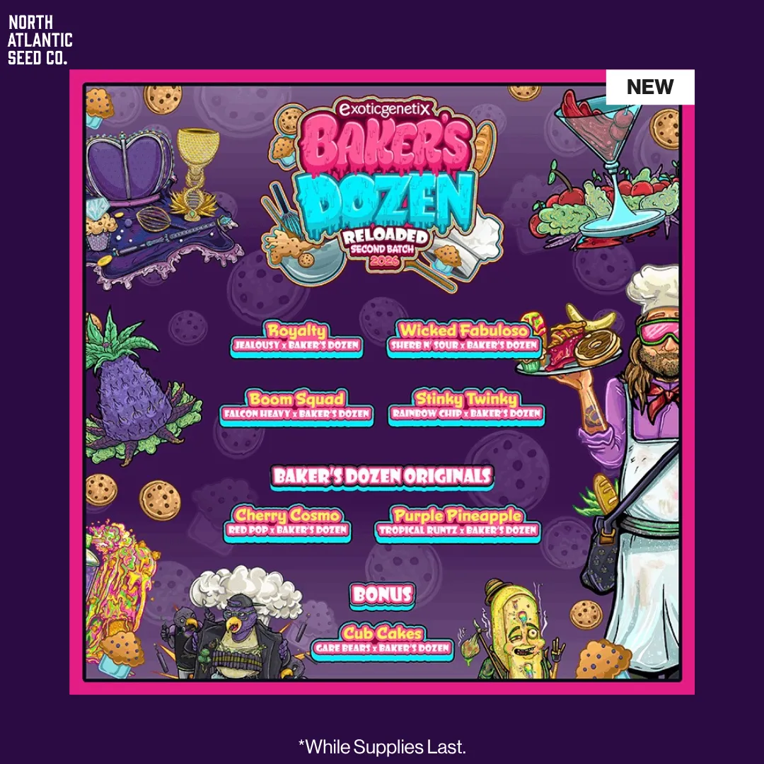 Exotic Genetix Baker's Dozen Reloaded: Second Batch