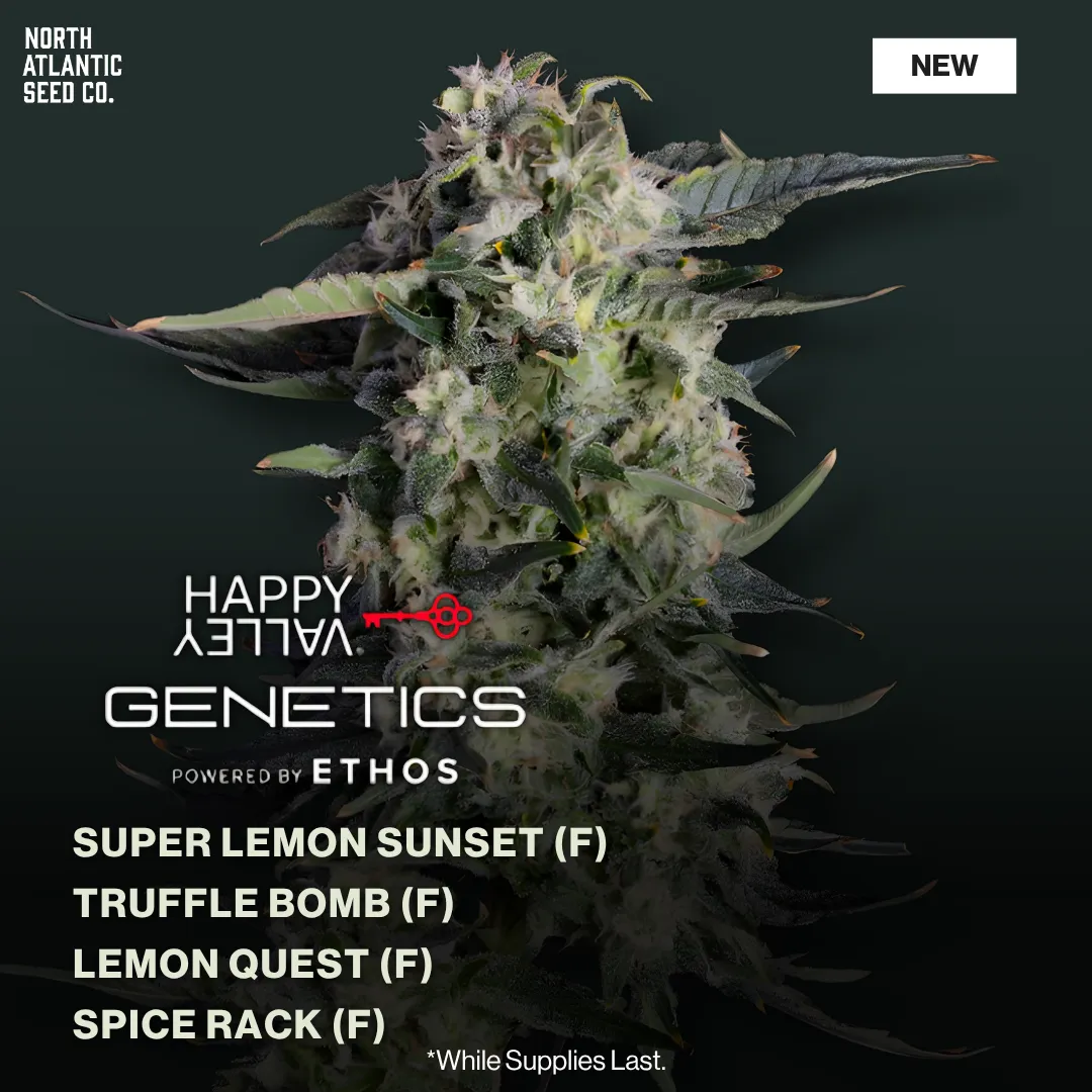 Happy Valley Genetics May 2026 Drop