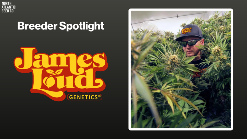 James Loud Genetics Breeder Spotlight