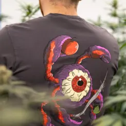 Dirty Bird The Eye Joe 2