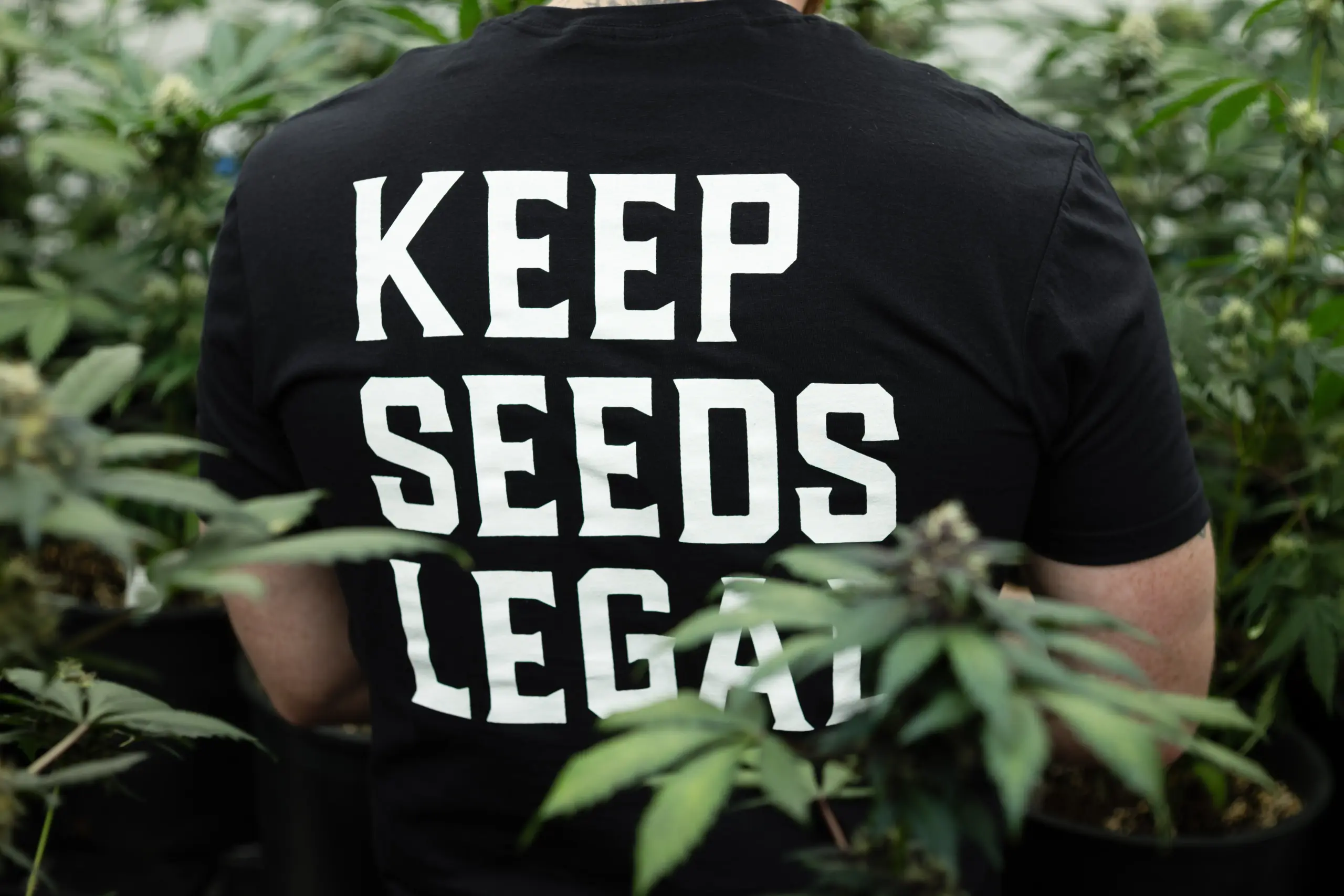 Keep Seeds Legal T-shirt 2