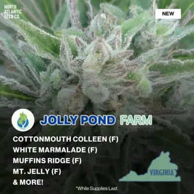 Jolly Pond Farm