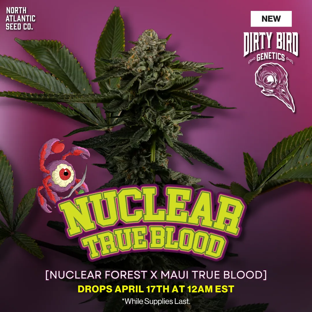 Dirty Bird Genetics - Volume Series