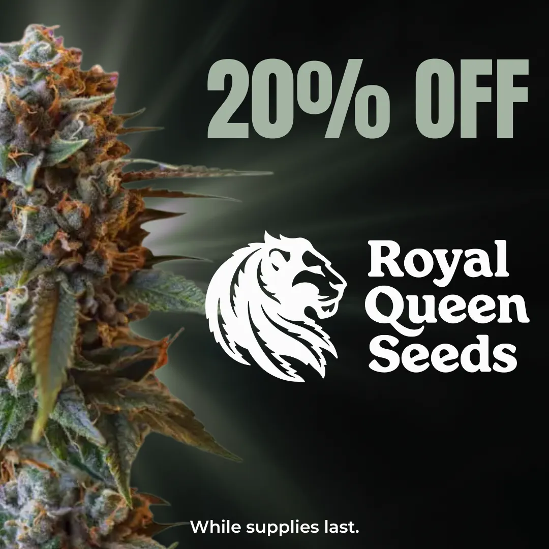 Royal Queen Seeds