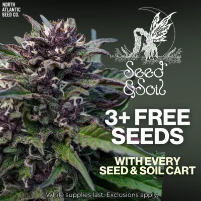 Seed and Soil