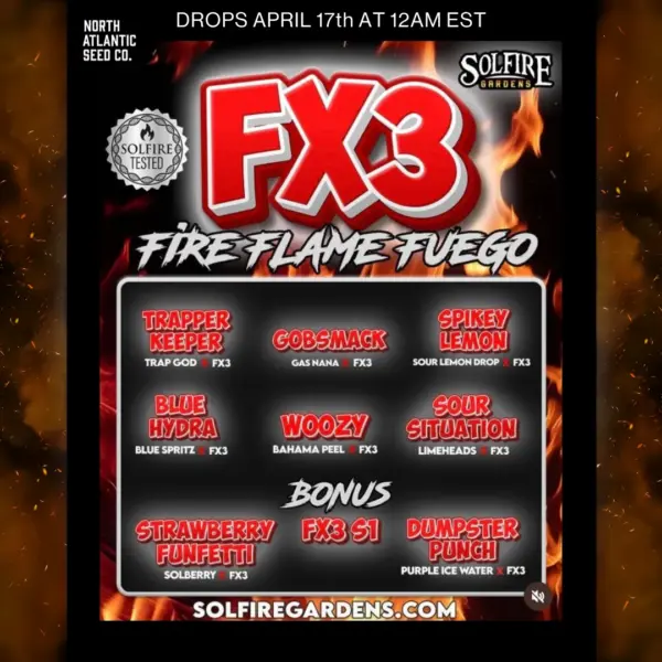 Solfire Gardens FX3 Fire Flame Fuego Line