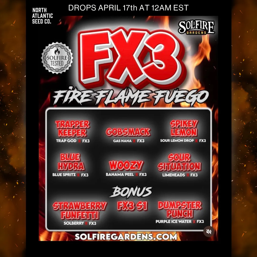 Solfire Gardens FX3 Fire Flame Fuego Line