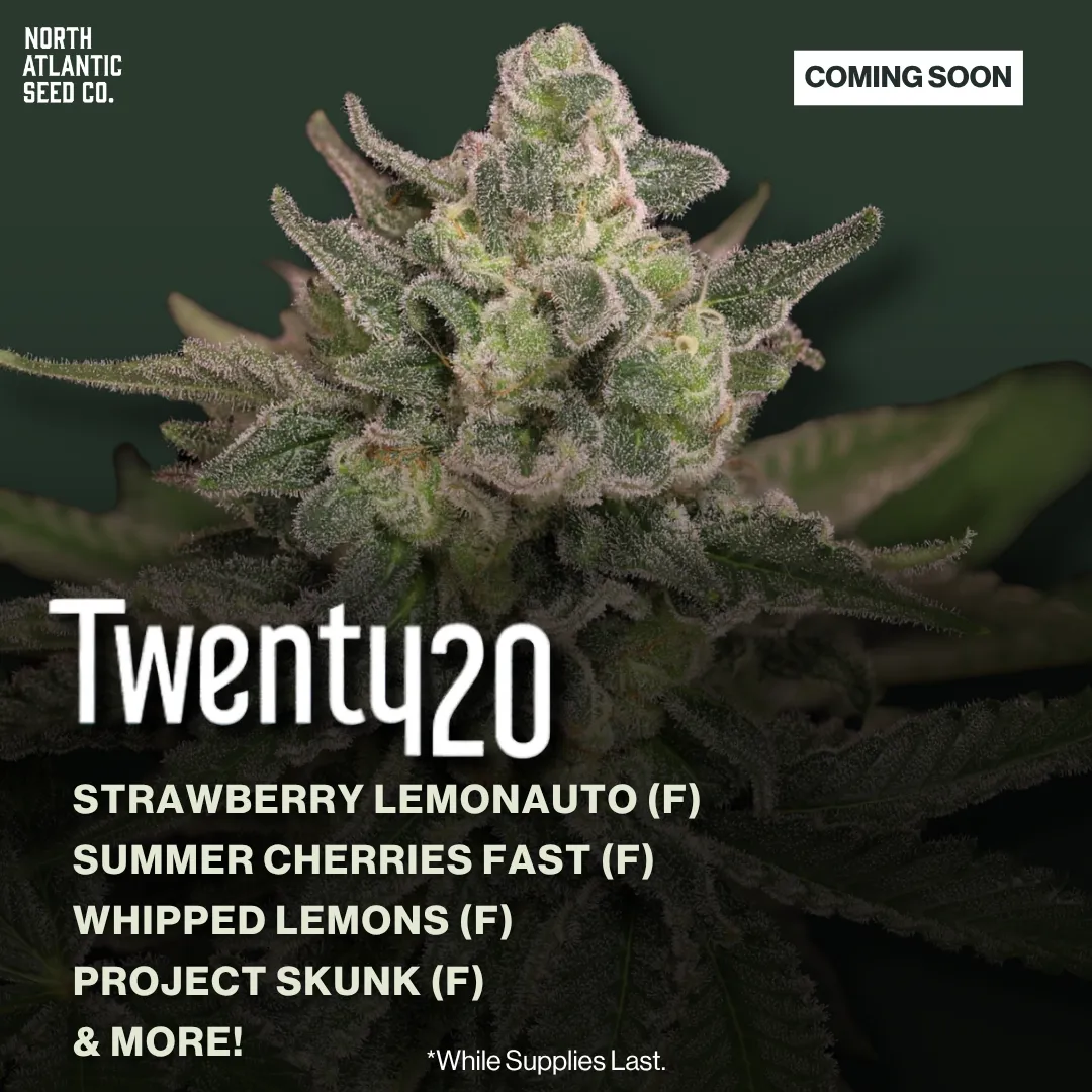 Twenty20 Mendocino 4/20 2026 Drop