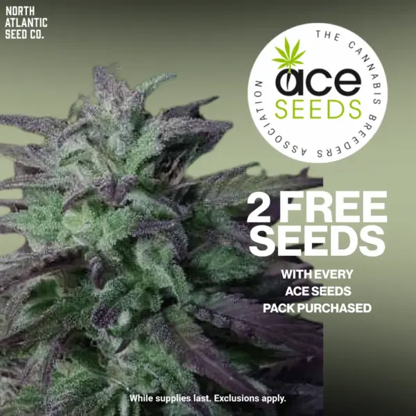 Ace Seeds