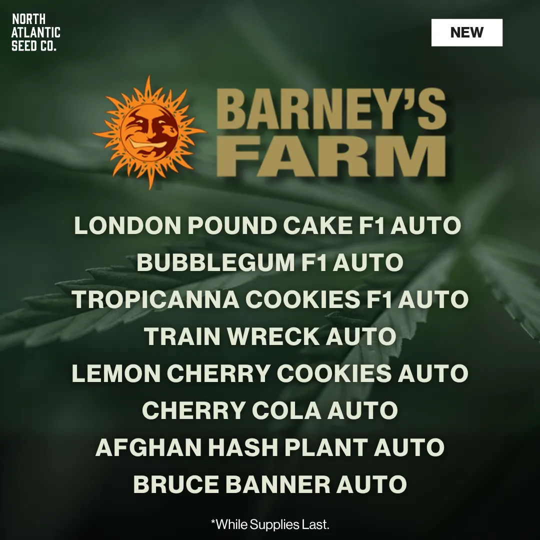 Barney's Farm New Strains May 2026