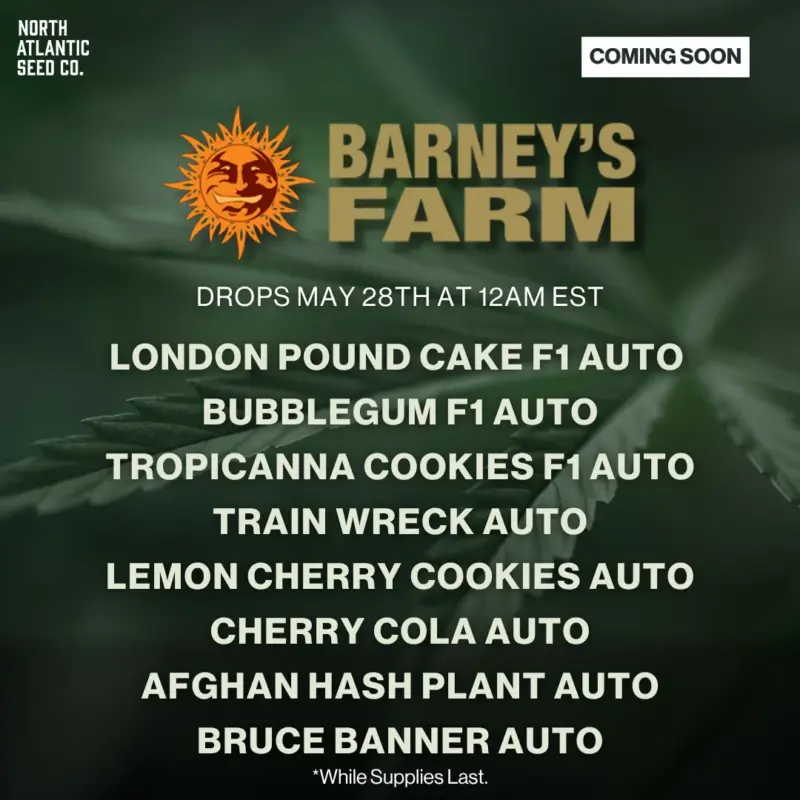 Barney's Farm New Strains May 2026