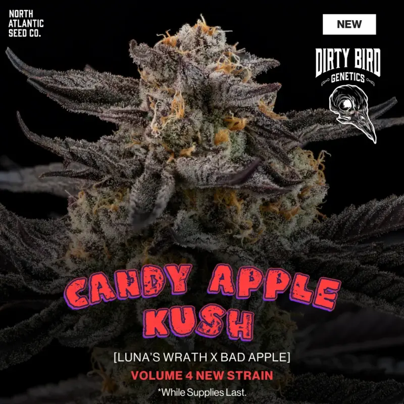 Dirty Bird Genetics - Volume Series