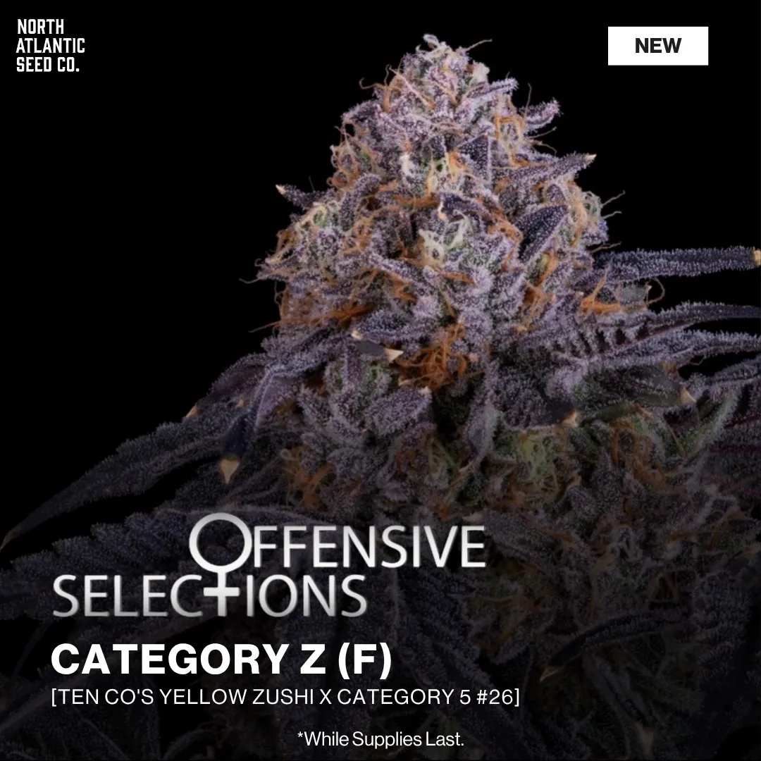 Offensive Selections