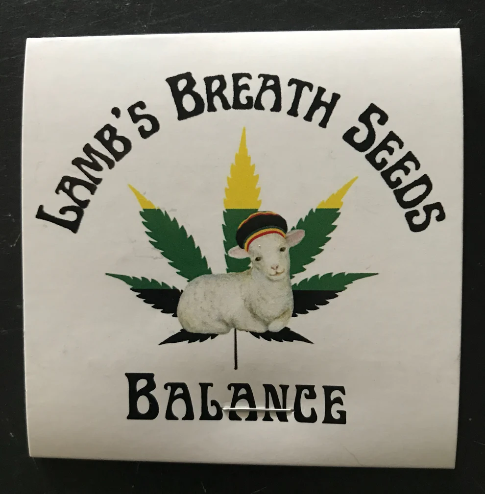 CBD Balance I Cannabis Seeds by Lamb's Breath Seeds