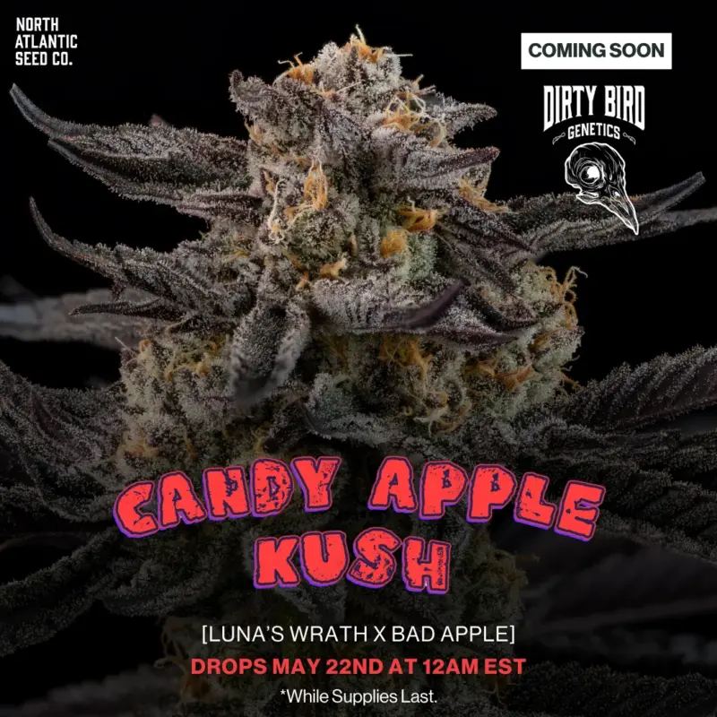 Dirty Bird Genetics - Volume Series