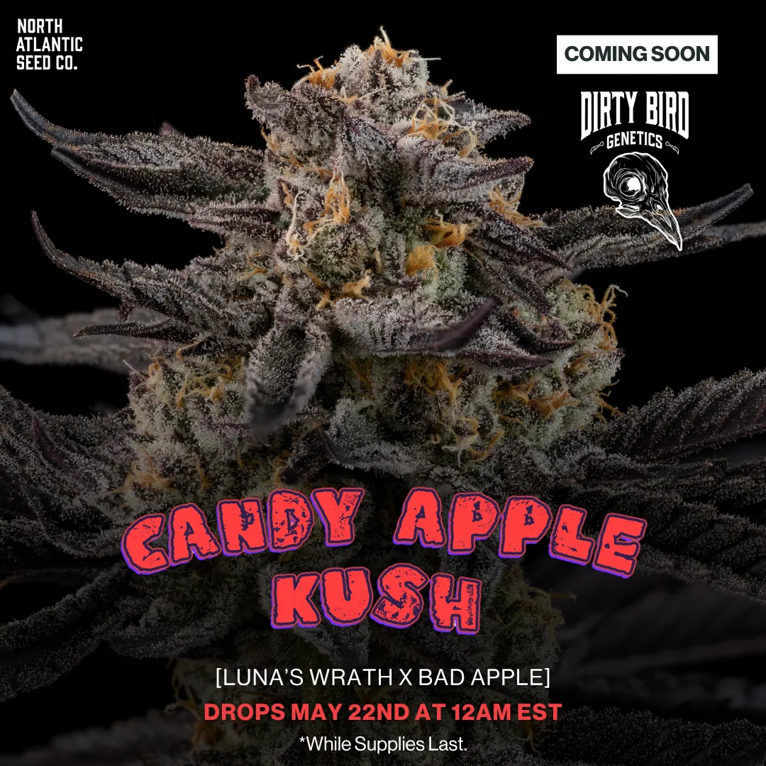 Dirty Bird Genetics - Volume Series