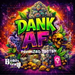 Dank AF Cannabis Seeds by Brothers Grimm Seeds