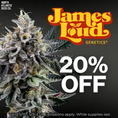 James Loud Genetics