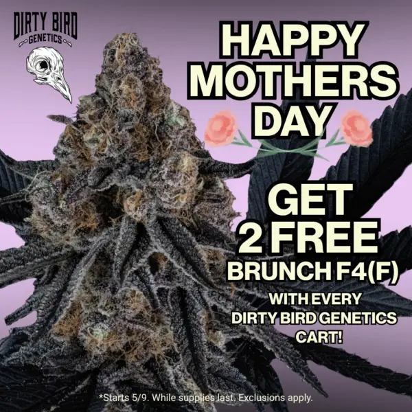 Dirty Bird Genetics