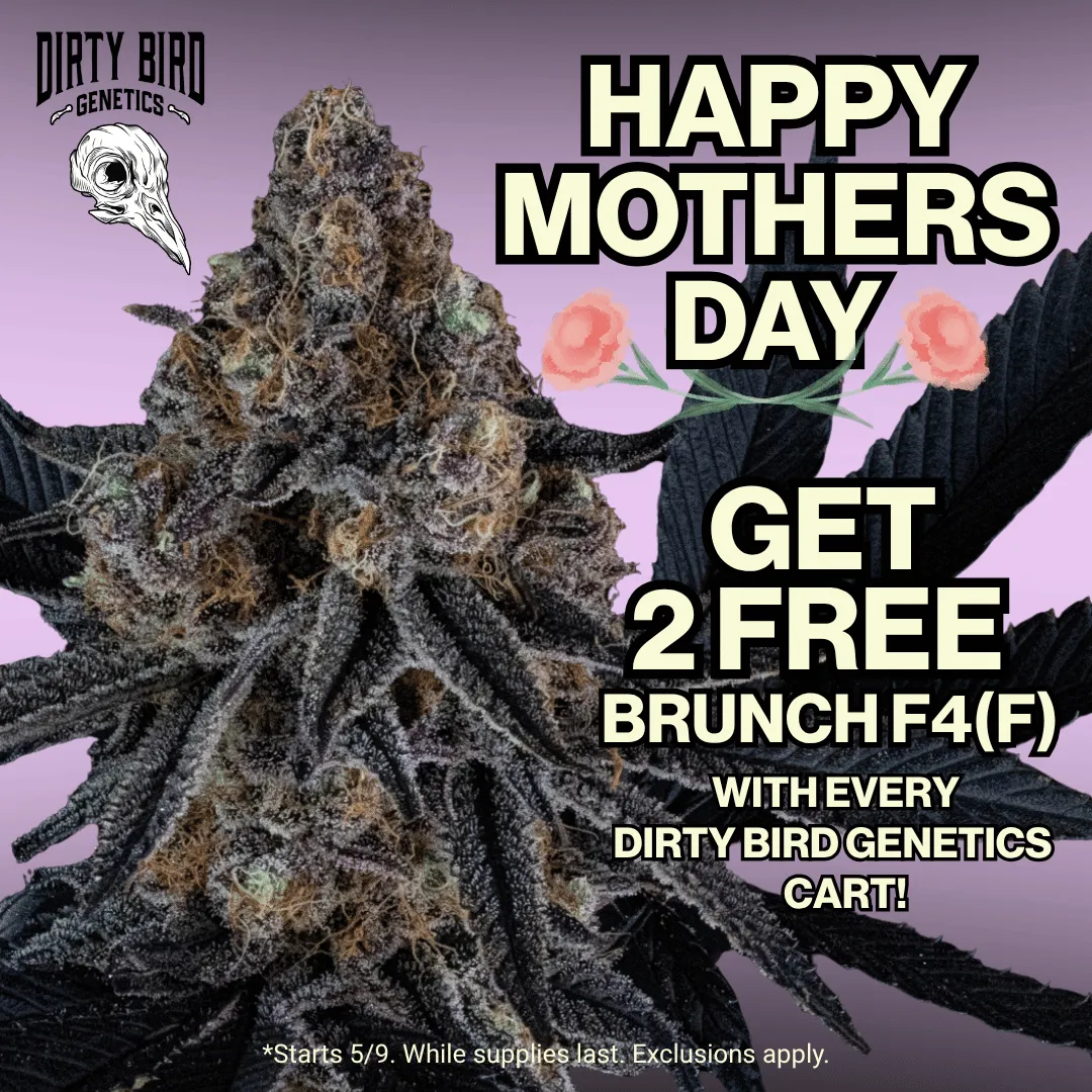 Dirty Bird Genetics