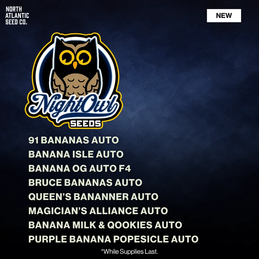 Night Owl Banana Drop