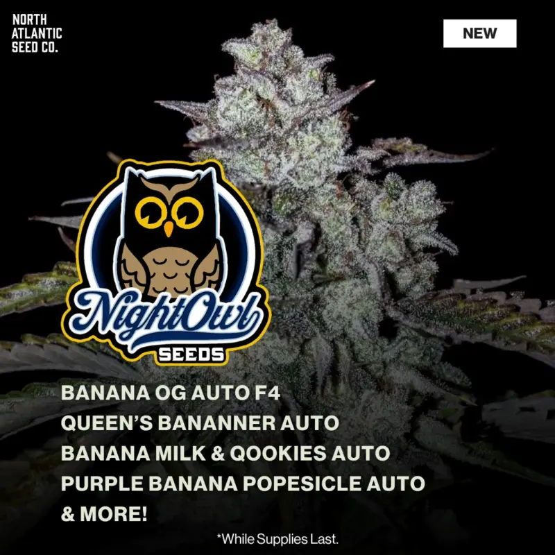 Night Owl Banana Drop