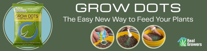 Grow Dots New Banner