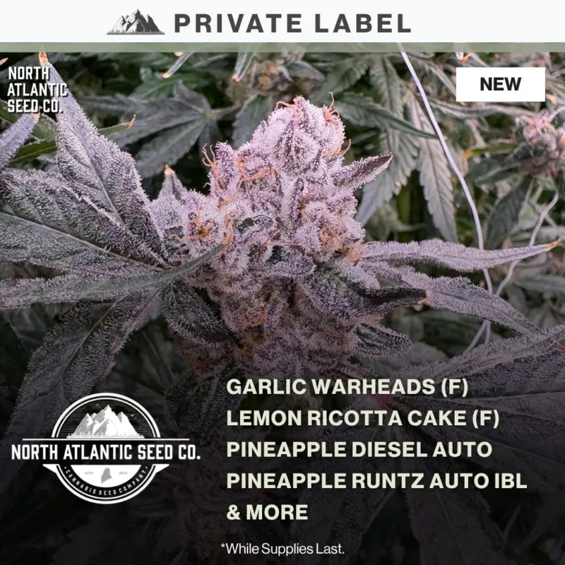 Private Label New Strains May 2026