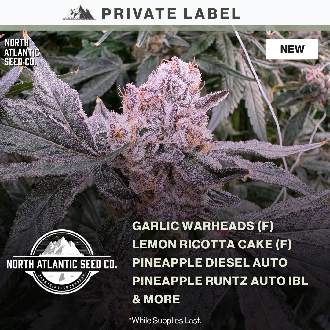 Private Label New Strains May 2026