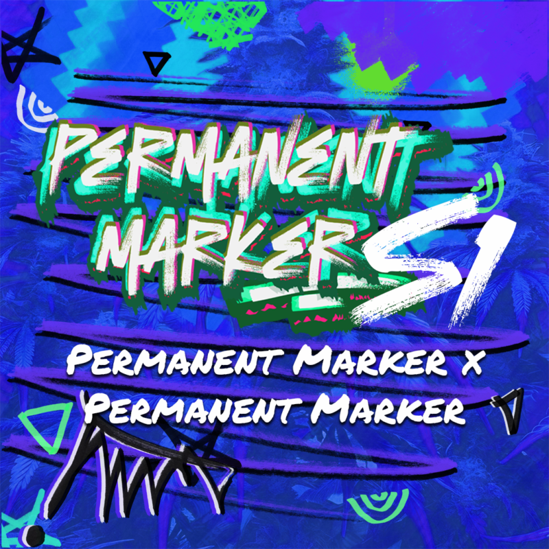 Permanent Marker S1 Cannabis Seeds by Elev8 Seeds