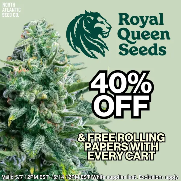 Royal Queen Seeds