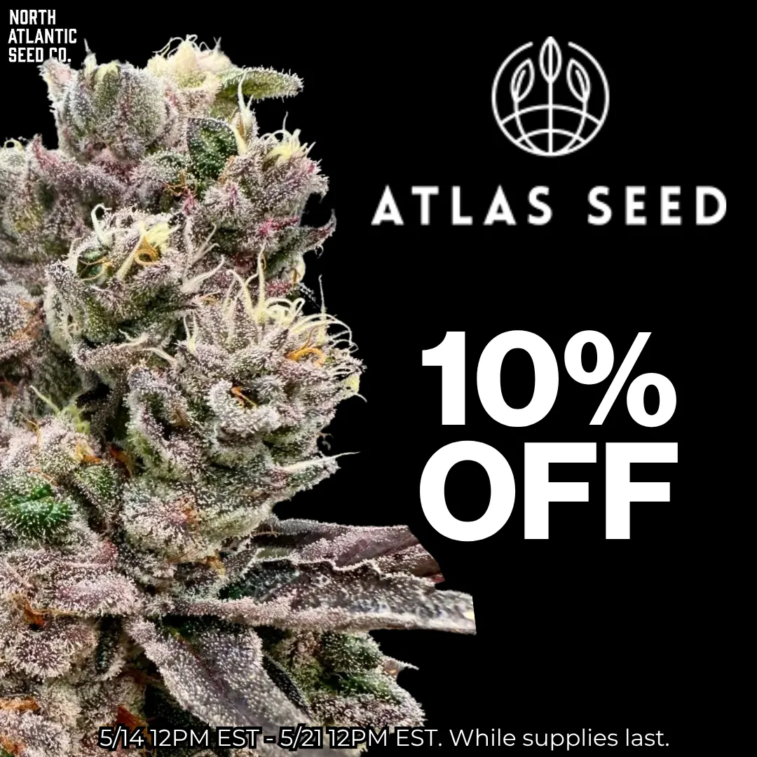 Atlas Seed